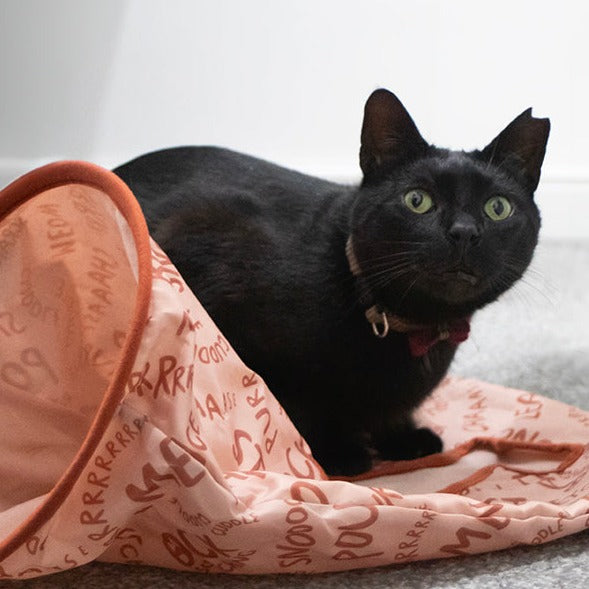 Cat crinkle sack best sale