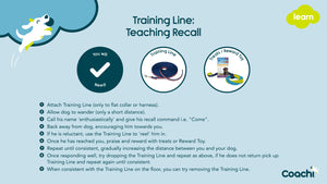 Coachi Training Line Navy & Lime 5m, dog lead, dog training lead, small dogs, puppy, puppies, training, long lead, 10m lead, dog essentials, dog walking, dog training, recall line, recall lead
