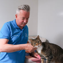 Load image into Gallery viewer, Wellbeing Kit For A Cat