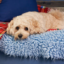 Load image into Gallery viewer, Warm Place To Sleep For A Dog