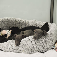 Load image into Gallery viewer, Warm Place To Sleep For A Dog