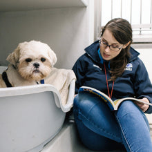Load image into Gallery viewer, Wellbeing Kit For A Dog
