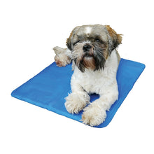 Load image into Gallery viewer, Pet cool mat, cool mat, dog bed, cat bed, dog cool mat, cat cool mat, cooling, cooling bed, wipe clean, self cooling, dog essential, pet essential cat essential, summer