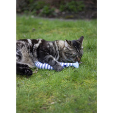 Load image into Gallery viewer, Battersea Catnip Kicker Fish Cat Toy, cat toy, battersea toy, rosewoodXbattersea, battersea, catnip, catnip cat toy, cat stimulation, cat enrichment