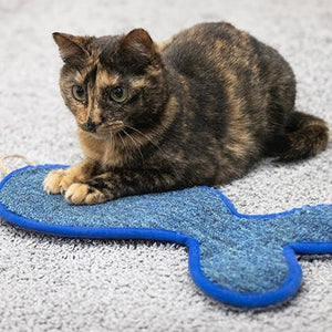 Battersea Fish Shaped Cat Scratcher