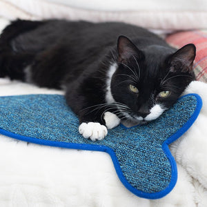 Battersea Fish Shaped Cat Scratcher