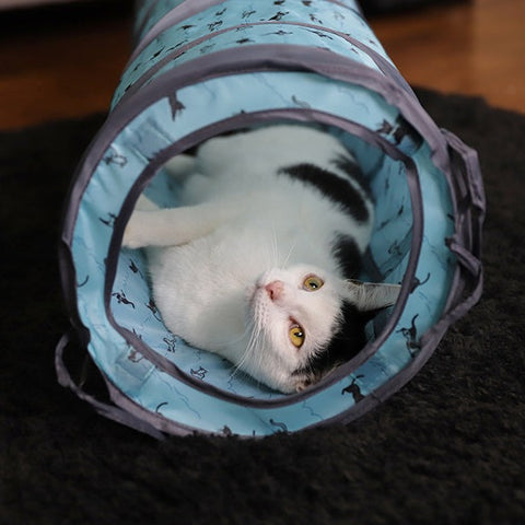 Battersea Pop Up Tent & Tunnel Cat Toy