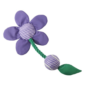 Battersea Flower Tug Dog Toy