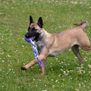 Battersea Rope & Rubber Tug Dog Toy