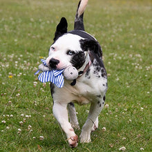 Load image into Gallery viewer, Battersea Crinkle Butterfly Dog Toy