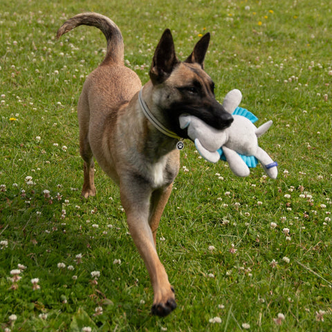 Battersea Snuffle Elephant Dog Toy