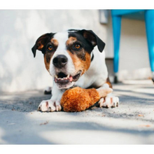 Load image into Gallery viewer, Fried Chicken Plush Dog Toy