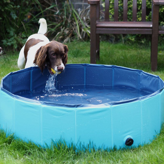 Dog Cool Pool, pet pool, keep cool, summer pet, summer essential, cooling, cool mat, pool, great & small, dog essential 