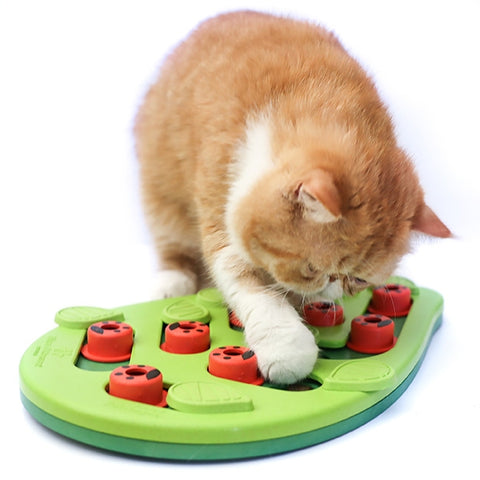 Nina Ottosson Puzzle & Play Buggin Out Cat Feeder, cat puzzle game, slow feeder, cat slow feeder, cat enrichment