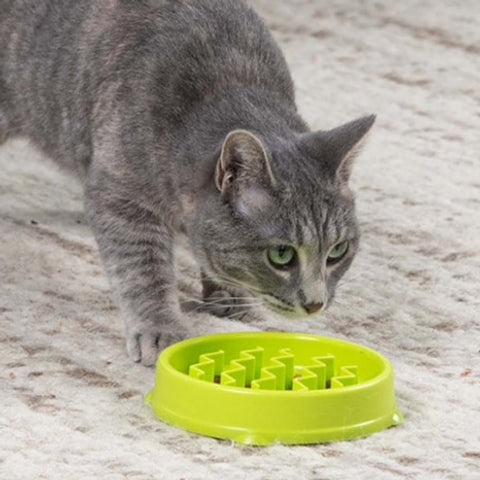 Kitty Slow Feeder, slow feeder, cat bowl, cat enrichment, cat feeding, green cat bowl, cat slow feeder