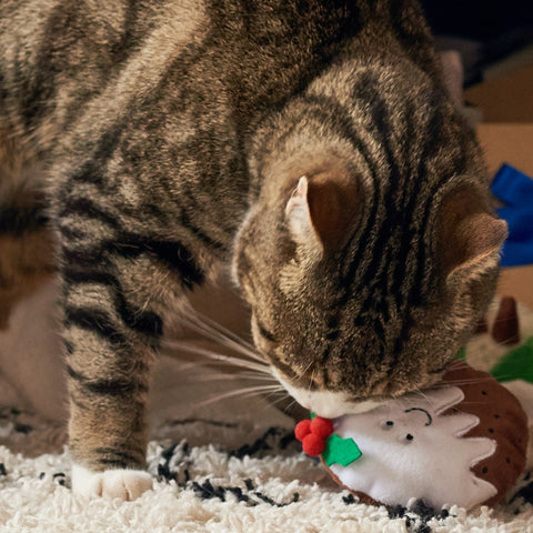 Catnip Christmas Pudding Cat Toy