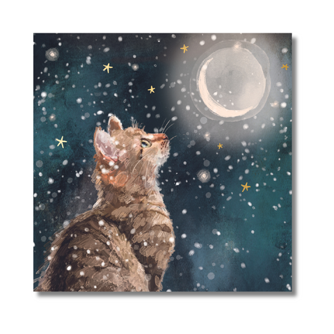 Battersea Snowfall Cat & Magical Moonlight Christmas Card Twin Pack