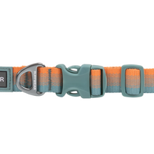 Load image into Gallery viewer, Front Range Dog Collar Spring Fade