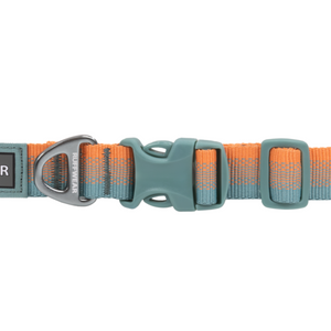 Front Range Dog Collar Spring Fade