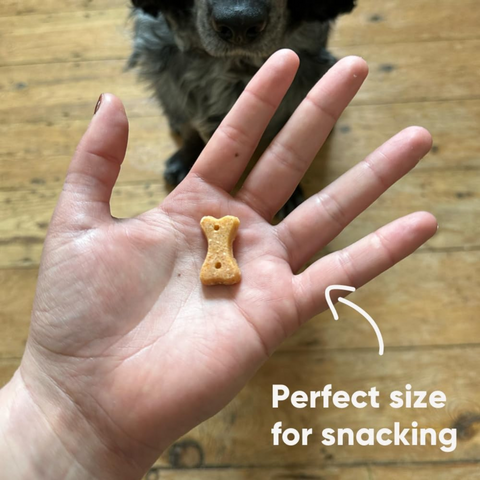 Cashew With Pumpkin Seed & Carrot Dog Treats