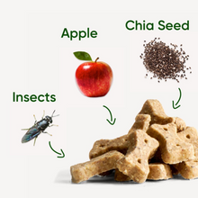 Load image into Gallery viewer, Insect With Apple &amp; Chia Seeds Dog Treats