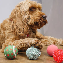 Load image into Gallery viewer, Christmas Ball Gift Pack Dog Toy x 8