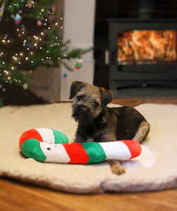 Christmas Candy Cane Rope Core Dog Toy