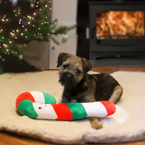 Christmas Candy Cane Rope Core Dog Toy