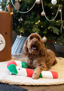 Christmas Candy Cane Rope Core Dog Toy