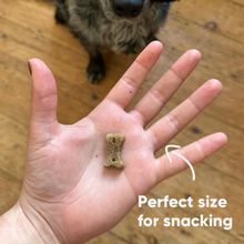 Load image into Gallery viewer, Insect With Apple &amp; Chia Seeds Dog Treats