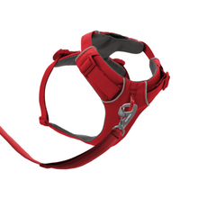 Load image into Gallery viewer, Front Range Dog Harness Red Canyon