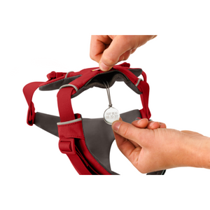 Front Range Dog Harness Red Canyon