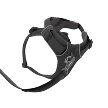 Load image into Gallery viewer, Front Range Dog Harness Basalt Grey