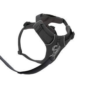 Front Range Dog Harness Basalt Grey