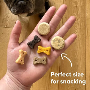 Peanut with Coconut & Turmeric Dog Treats, dog treats, plant-based dog treats, dog training, dog biscuits, dog food,