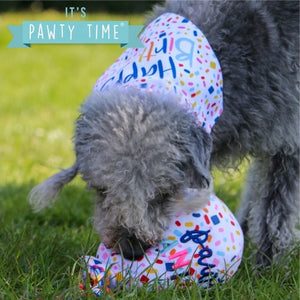 Pawty Balloon Plush Dog Toy