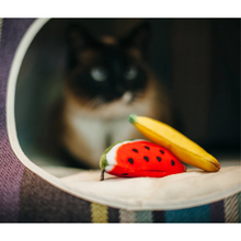 Load image into Gallery viewer, Tropical Fruits Cat Toy Set of 2