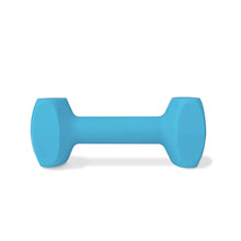 Load image into Gallery viewer, Coachi Dog Training Dumbbell Light Blue Large