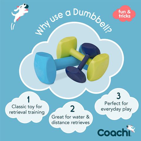 Coachi Dog Training Dumbbell Light Blue Large