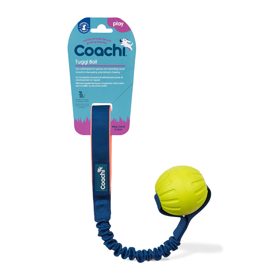 Coachi Tuggi Ball Dog Toy