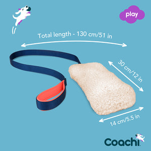 Coachi Chase & Crinkle Dog Toy