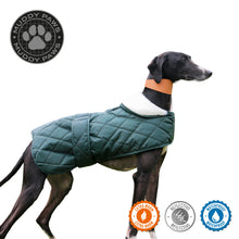 Load image into Gallery viewer, Quilted Hound Coat, dog coat, hounds, sighthounds, long dogs, greyhounds, 