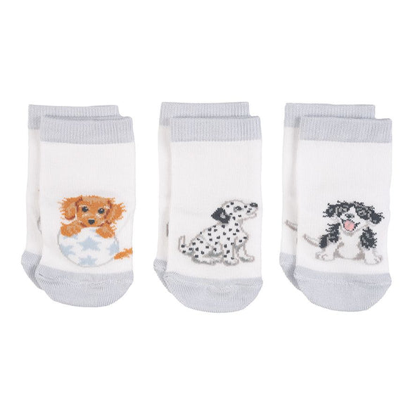 Little Dog Paws Baby Socks Pack of 3