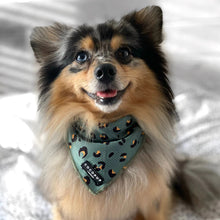 Load image into Gallery viewer, Kharki Leopard Dog Bandana