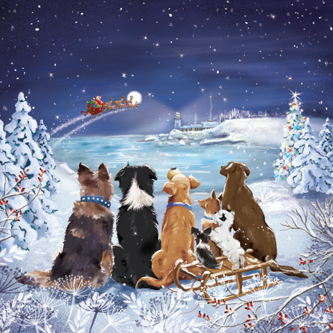Christmas Eve Excitement – Single Card