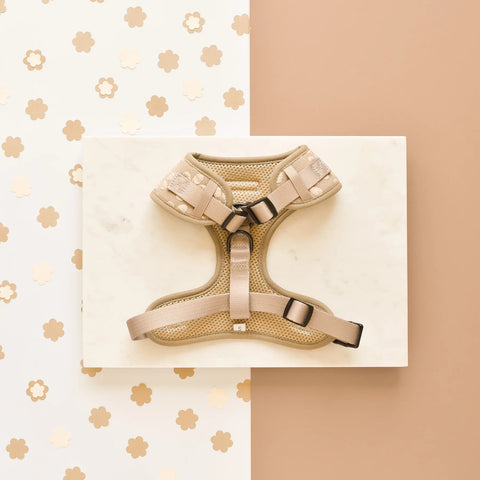 Mocha Flower Dog Harness