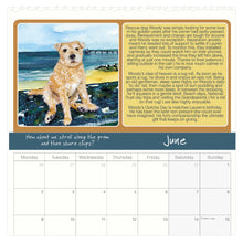 Load image into Gallery viewer, 2025 Scruffy Mutts Calendar