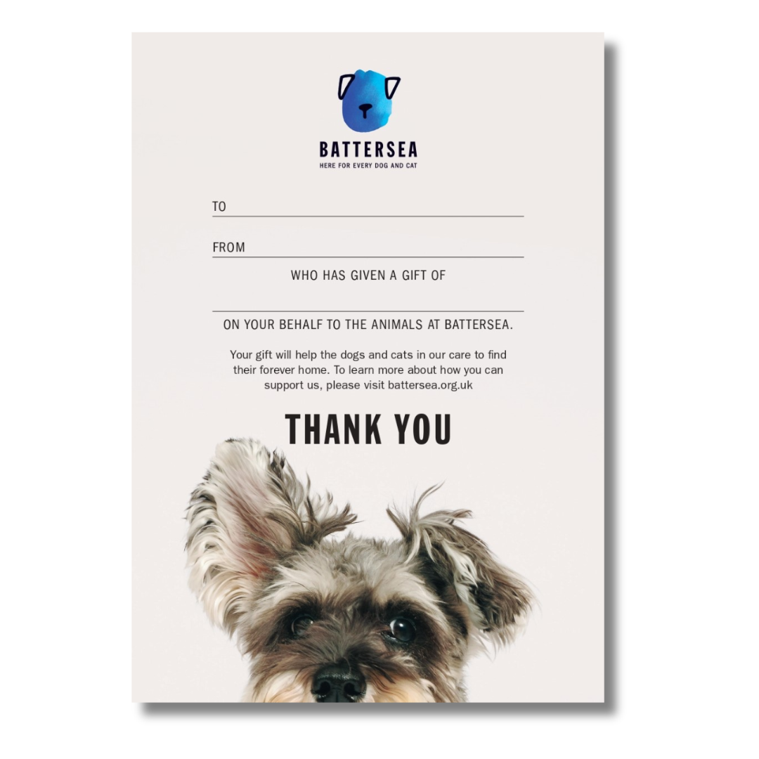 Warm Place To Sleep For A Dog – Battersea Shop