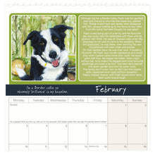 Load image into Gallery viewer, 2025 Scruffy Mutts Calendar