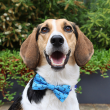 Load image into Gallery viewer, Wear Blue For Rescue Dog Bow Tie